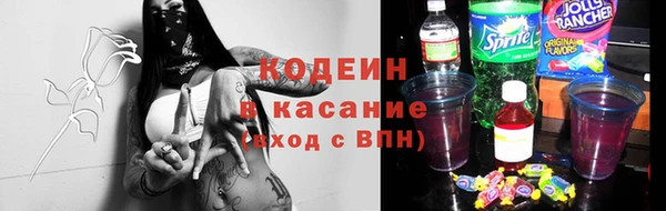 гашик Алексеевка