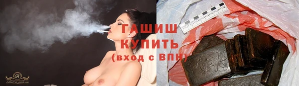 гашик Алексеевка